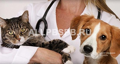 Ветеринарная клиника во Фрунзенском районе