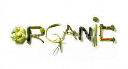 Интернет-магазин экологичной продукции