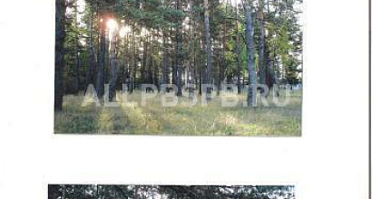 Продажа:  продается бывший пионерский лагерь