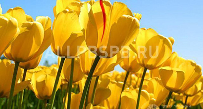 Продажа:  Продам доходный бизнес