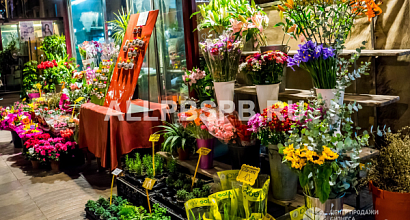 Магазин цветов в 3 минутах от Площади трех вокзалов