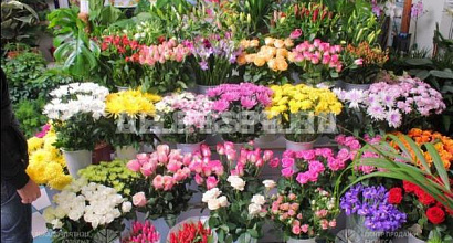 Цветочный магазин на севере города