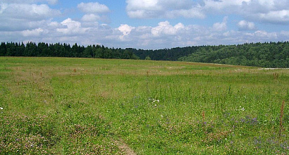 Продажа: Земельный участок в собственность