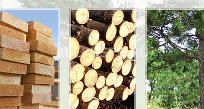 Продается  лесопилка, южное, юго-западное направление