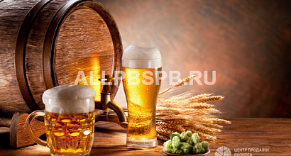 Магазин разливного пива с посадочными местами