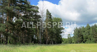 Готовый бизнес  земля 24г 