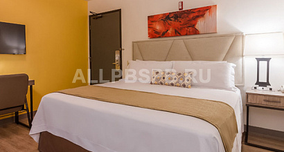 Отель на 12 номеров в Московском районе