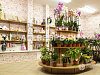 Цветочный магазин с современным дизайном