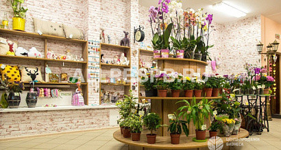 Цветочный магазин с современным дизайном
