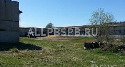 Продажа:  ферма