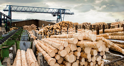 Крупное деревообрабатывающее предприятие