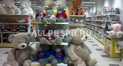 Большой магазин детских игрушек