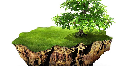 ППА на земельный участок в Выборгском районе