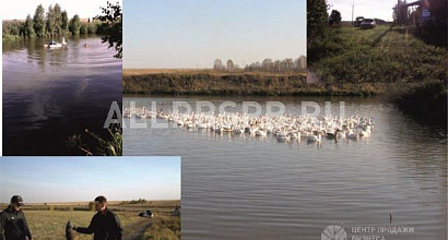 Готовый бизнес  продам собственность 104 га