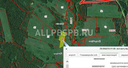 Продажа:  фермы с земельным участком