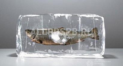 Готовый бизнес  интернет-магазин рыбы и морепродуктов 