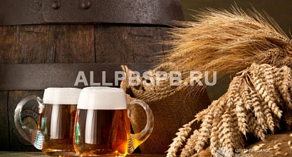 Магазин разливного пива в Парголово