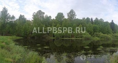 Готовый бизнес  фермерская эко- усадьба. семейная ферма. 10 га