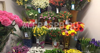Продажа:  Продажа или ппа салонa Цветы