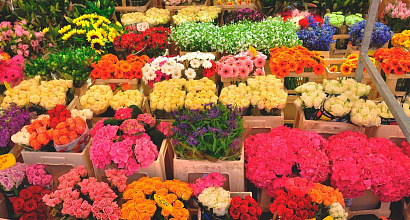 Цветочный магазин + интернет магазин