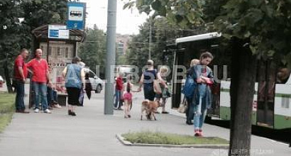 Аренда:  Торговое помещение, 17 м