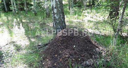 Продажа:  земля в троице рязанской области