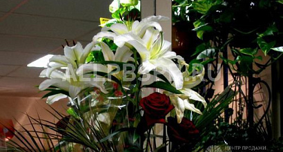 Аренда:  Под Цветы 