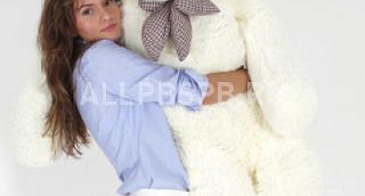 Продажа:  Продается бизнес по продаже плюшевых медведей 