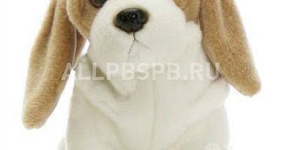 Готовый бизнес  интернет-магазин плюшевых медведей 