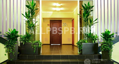 Продажа:  интернет-магазин комнатных растений. youtube