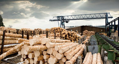 Земля на которой был деревообрабатывающий завод в Новгородской области