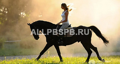 Конно-развлекательный клуб с коттеджем в собственность