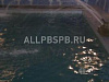 Продажа:  водно-оздоровительный комплекс