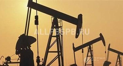 Продажа:  компания ооо &quot;студия дизайна елены крыловой&quot; с ист