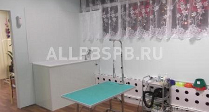 Продажа:  продается зоосалон - хендлинг зал