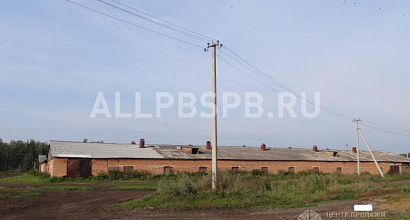Продается  производственные мощности по разведению перепелов