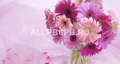 Интернет-магазин цветов