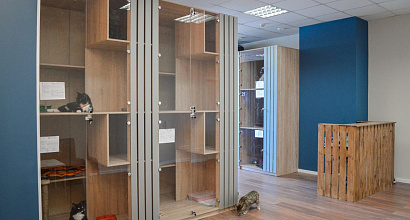 Гостиница для животных во Фрунзенском районе.