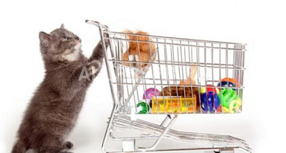 Продажа:  Готовый бизнес зоомагазин 5 лет на рынке