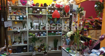 Продажа:  Готовый магазин цветы