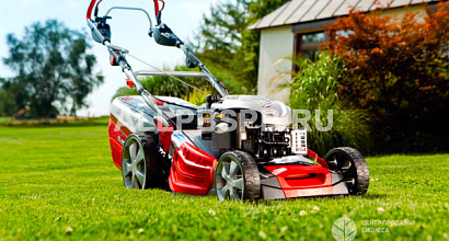 Многопрофильный интернет-гипермаркет