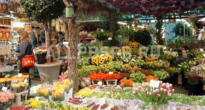 Продажа: Готовый бизнес  цветочная студия павшинская пойма 