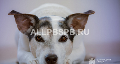 Многопрофильная ветеринарная клиника