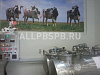 Готовый бизнес  кисломолочный магазин