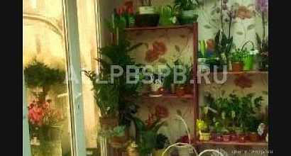 Продажа:  Цветочный бизнес