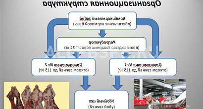 Продажа:  32.3 га с готовым Бизнес-Планом свинокомплекса