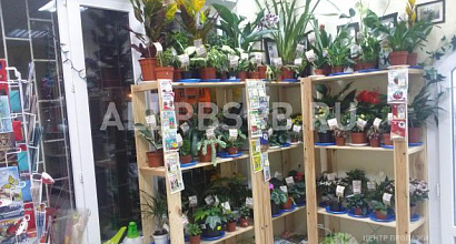 Продажа: Готовый бизнес  цветы