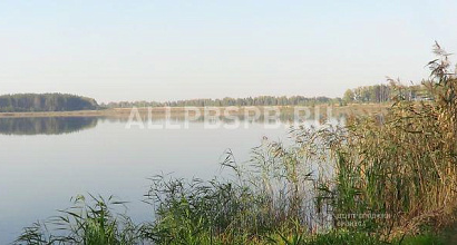 Продажа:  земля с/х назначения у р. ока
