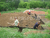 Продажа:  компания &quot;нeдвижимостьщeрбинки&quot; с оборотом